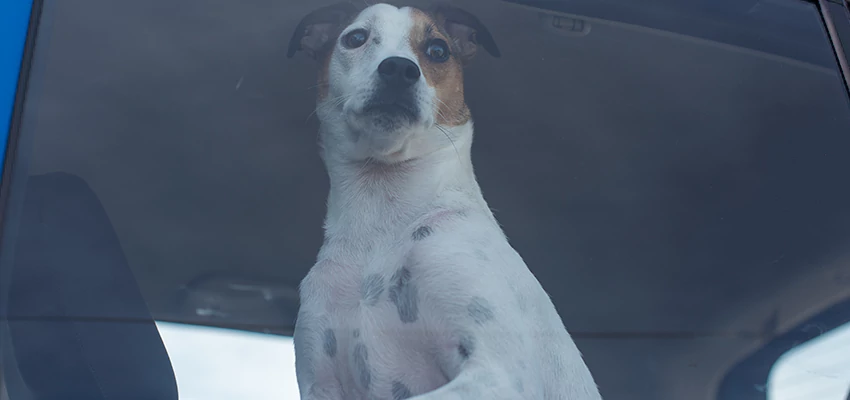 Car Lockout Solutions in Huntington Beach, California